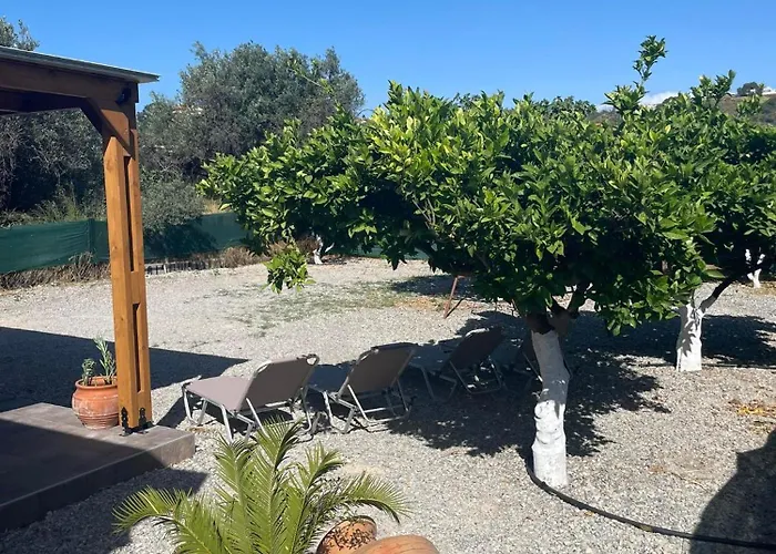 别墅 Flora 阿凡投